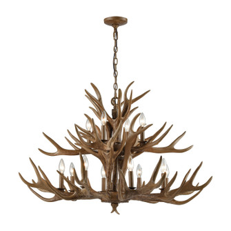 Elk 12 Light Chandelier in Wood Tone (45|1631784)