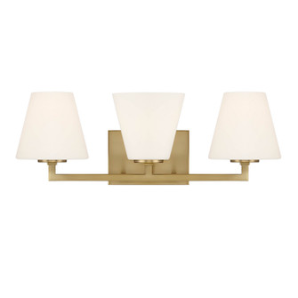 Palmyra Three Light Vanity in Brushed Gold (43|D255M3BBG)