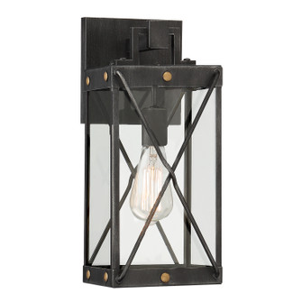Shady Glen One Light Wall Lantern in Weathered Pewter (43|D242M7LOWWP)
