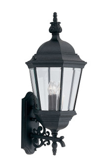 Builder Cast Aluminum Three Light Wall Lantern in Black (43|2952BK)