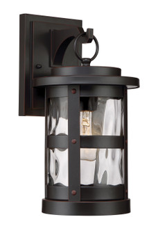 Terraze One Light Wall Sconce in Satin Bronze (43|22721SB)