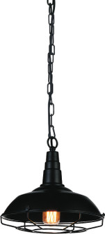 Morgan One Light Mini Pendant in Black (401|9611P111101)