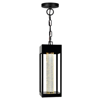 Rochester LED Outdoor Hanging Lantern in Black (401|1696P51101)
