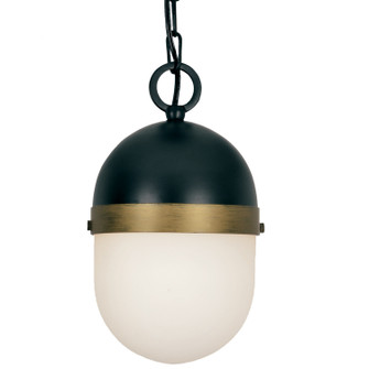 Capsule One Light Outdoor Pendant in Matte Black / Textured Gold (60|CAP8505MKTG)