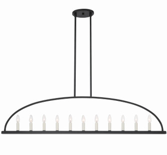 Abbott 11 Light Chandelier in Black (60|ABB3009BK)
