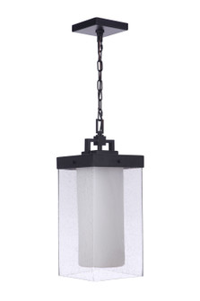 Hayner One Light Outdoor Pendant in Midnight (46|ZA5621MN)
