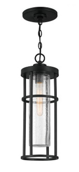 Encompass One Light Outdoor Pendant in Midnight (46|ZA4211MN)