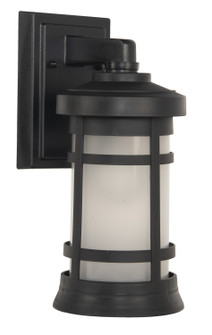 Resilience Lanterns One Light Outdoor Wall Lantern in Textured Black (46|ZA2304TB)