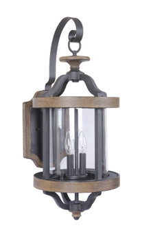 Ashwood Two Light Outdoor Wall Lantern in Textured Black/Whiskey Barrel (46|Z7924TBWB)