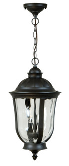 Frances Two Light Pendant in Oiled Bronze (Outdoor) (46|Z6011OBO)