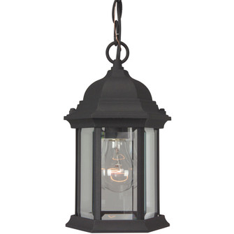 Hex Style Cast One Light Outdoor Pendant in Textured Black (46|Z291TB)