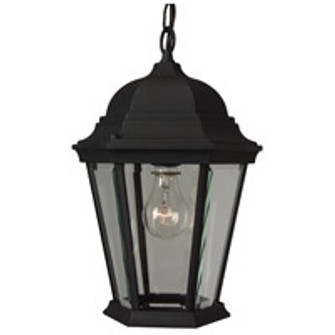 Straight Glass Cast One Light Pendant in Textured Black (46|Z251TB) Straight Glass Cast One Light Pendant in Textured Black (46|Z251TB)