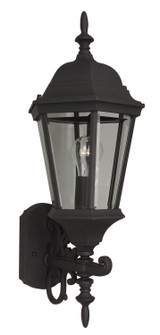 Straight Glass Cast One Light Wall Mount in Textured Black (46|Z250TB)