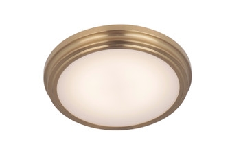 X66 flushmounts LED Flushmount in Satin Brass (46|X6613SBLED)
