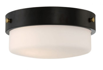 Oak Street Two Light Flushmount in Flat Black (46|X3214FB)