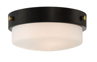 Oak Street Two Light Flushmount in Flat Black (46|X3212FB)