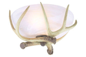 Light Kit-Bowl,Energy Star LED Fan Light Kit in Antler Surround (46|LK16LED)