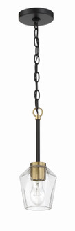 Avante Grand One Light Mini Pendant in Flat Black/Satin Brass (46|56991FBSB)