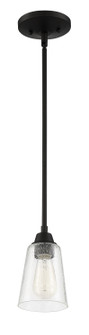 Grace One Light Mini Pendant in Espresso (46|41991ESPCS)