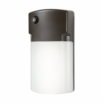 Floodlight (495|WP1135LPC)
