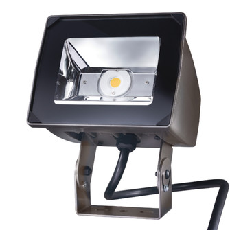 Floodlight (495|NFFLDSC15DUNV66TCB7050)