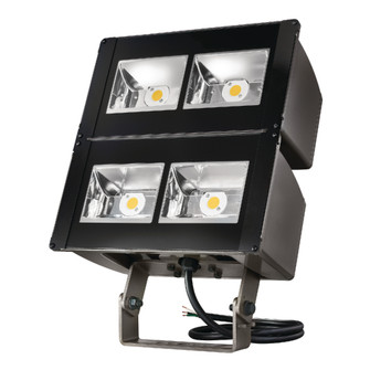 Floodlight (495|NFFLDLC75T)