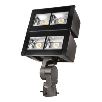 LED Floodlight (495|NFFLDLC100S347)