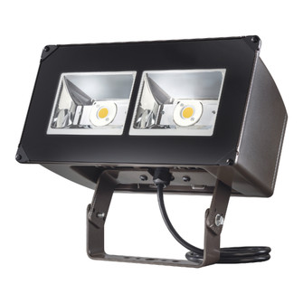 Floodlight (495|NFFLDC40EUNV66TCBPER)