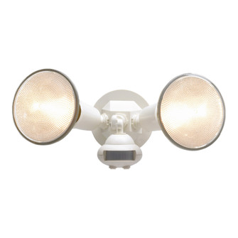 Motion Activated (495|MS34W)