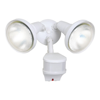 Security Floodlight (495|MS276RDW)