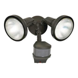 Security Floodlight (495|MS276RD)