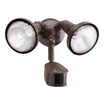 Security Floodlight (495|MS245R)
