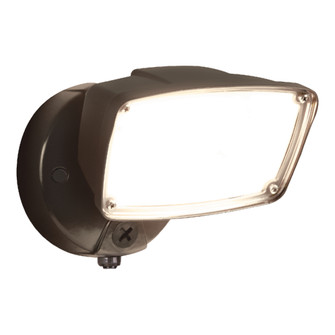 Floodlight (495|FSL303TIB)