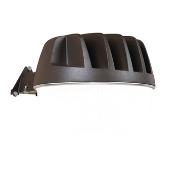 LED Area Light Dusk to Dawn (495|AL5550LPCIBZ)