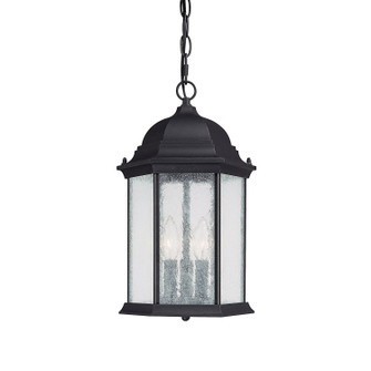 Main Street Three Light Outdoor Hanging Lantern in Black (65|9836BK)