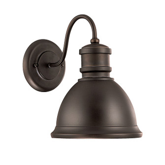 Outdoor One Light Outdoor Wall Lantern in Old Bronze (65|9492OB)