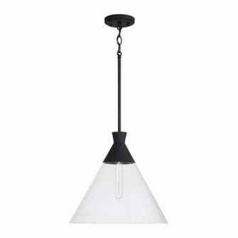 Paloma One Light Pendant in Textured Black (65|350311XK)