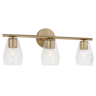 Dena Three Light Vanity in Aged Brass (65|145031AD524)