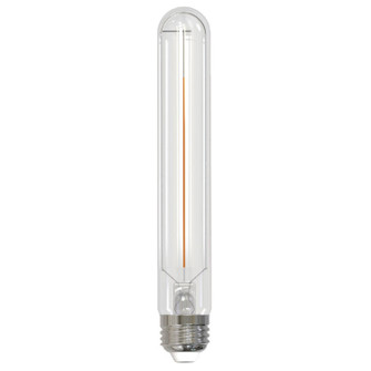 Filaments: Light Bulb in Clear (427|776714)