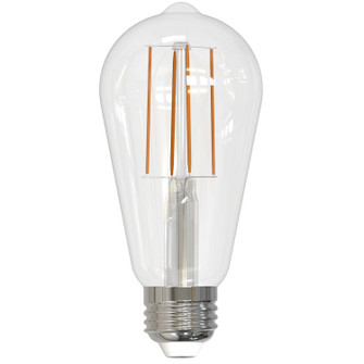 Filaments: Light Bulb in Clear (427|776631)