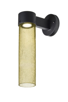 Juni Outdoor Wall Sconce in Black (74|JUNI16GDWALLLEDBK)