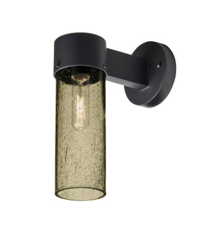 Juni Outdoor Wall Sconce in Black (74|JUNI10LTWALLBK)