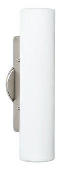 Baaz Wall Sconce in Satin Nickel (74|770207SN)