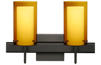 Pahu Wall Sconce in Bronze (74|2SWG44007BRSQ)
