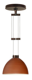 Brella One Light Pendant in Bronze (74|1XA4679CHBR)