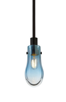 Wish One Light Pendant in Black (74|1TTWISHBLEDILBK)