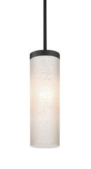 Friz One Light Pendant in Black (74|1TTFRIZLNBK)