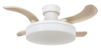 Orbit 36``Ceiling Fan in Matte White (457|21066401)