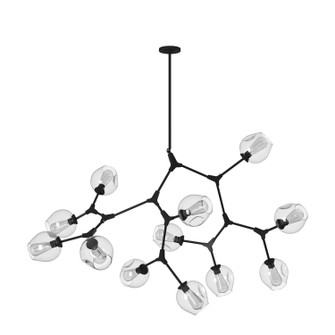 Organic 12 Light Chandelier in Black (78|JA14022BK)