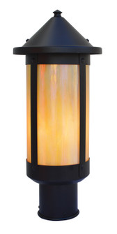 Berkeley One Light Post Mount in Rustic Brown (37|BP7LTNRB)